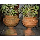 A pair of large terracotta garden urns, H. 64cm.