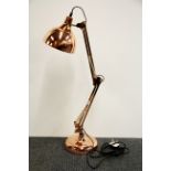 A copper finished Anglepoise lamp, H. 74cm.