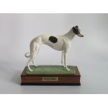 An Albany Fine China Company of Worcester, boxed porcelain model of a greyhound 'Westpark Mustard'.