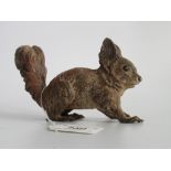 A late 19th century Austrian cold painted bronze figure of a squirrel in the manner of Franz