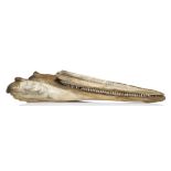 A PAIR OF 19TH CENTURY SCRIMSHAW DECORATED BOTTLENOSED DOLPHIN JAWS