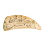 Ø A SCRIMSHAW DECORATED WHALE'S TOOTH