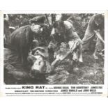 King Rat lobby card from the 1965 prisoner of war film starring George Segal, Tom Courtenay, James