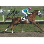 Horse Racing Russell Baze signed 8x12 colour photo. Good Condition. All autographs are genuine