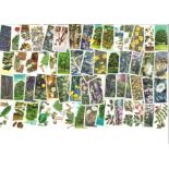 Brooke Bond Card Collection Trees in Britain part set 37 of 50 cards and Wild Flowers part set 31 of