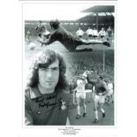 Pat Jennings Collage Arsenal Signed 16 x 12 inch football photo. Supplied from stock of www.