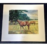 Horse Racing print 22x20 approx titled Aldaniti in retirement by the artist Claire Eva Burton superb