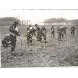 Royal Scots in France original press photo 8 x 6 showing troops putting up barbed wire with