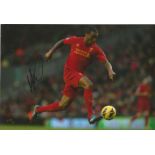 Andre Wisdom Signed Liverpool 8x12 Photo. Good Condition. All autographs are genuine hand signed and