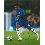 Callum Hudson-Odoi Signed Chelsea 8x10 Photo. Good Condition. All autographs are genuine hand signed