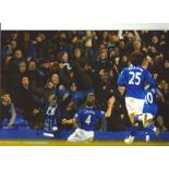 Darron Gibson Everton Signed 12 x 8 inch football photo. Supplied from stock of www.sportsignings.