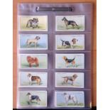 Dogs collection full set of 50 W and HO Wills cigarette cards featuring some much loved dog breeds