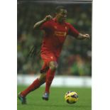 Andre Wisdom Signed Liverpool 8x12 football photo. Good Condition. All autographs are genuine hand