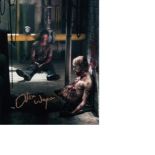 Blowout Sale! The Walking Dead Alex Wayne hand signed 10x8 photo, This beautiful hand signed photo