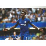 Tammy Abraham Signed Chelsea 8x12 Photo. Good Condition. All autographs are genuine hand signed