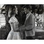 Ann-Margret Signed photo landscape black and white 10 x 8 inch. From Bye Bye Birdie. Dedicated Stan.