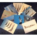 Aviation postcard collection includes 10 squadron prints cards such as RAF Bruggen Tornado Wing,