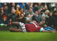 Football Michail Antonio signed 12x8 colour photo pictured celebrating for West Ham United.
