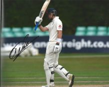 Ollie Pope Signed England Cricket 8x10 Photo. Good Condition. All signed pieces come with a