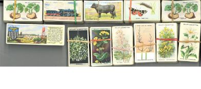 Cigarette card collection. Includes full set of WD & Howells gardening hints, full set of 1915