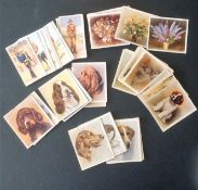 Cigarette card collection. Includes 1939 Soldiers of the king 29 cards, 1939 Our dogs 19 cards, 1937