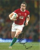 Shane Williams Signed Wales Rugby 8x10 Photo . Good Condition. All signed pieces come with a