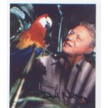 David Attenborough. Fabulous signed postcard sized picture with parrot. Good Condition. All signed
