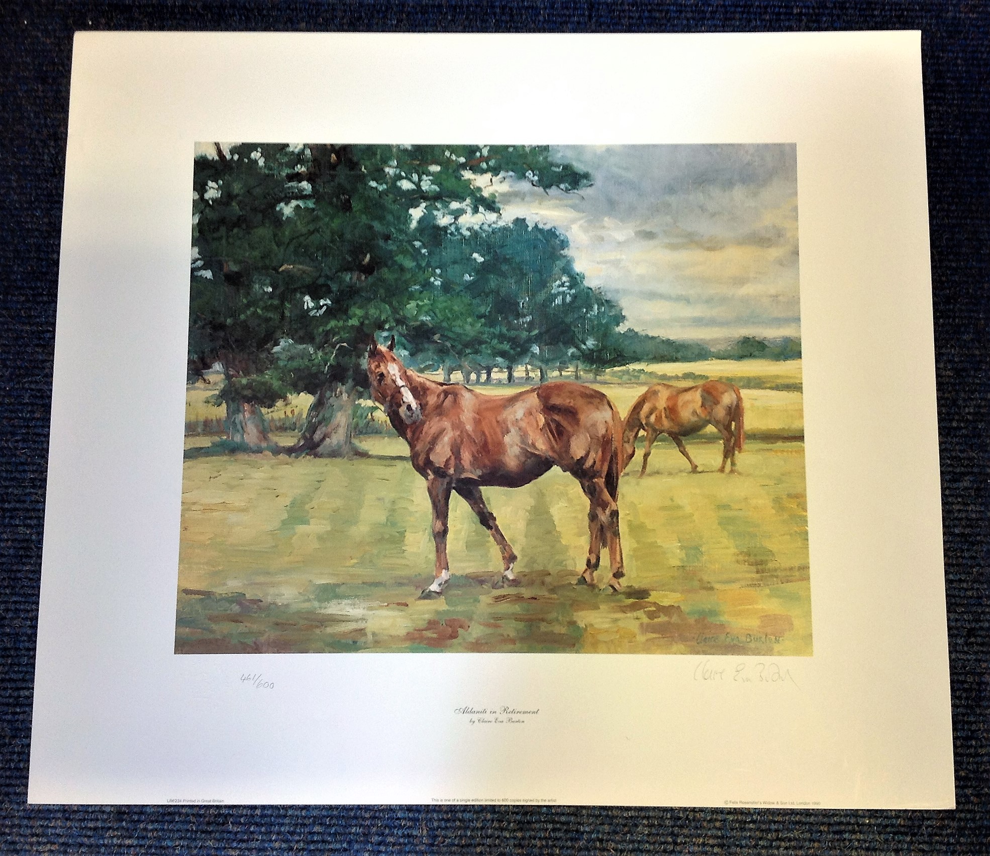 Horse Racing print 22x20 approx titled Aldaniti in retirement by the artist Claire Eva Burton superb