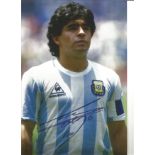 Diego Maradona signed 12 x 8 inch colour Argentina kit photo. Good Condition. All signed pieces come