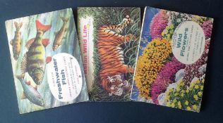 Brooke Bond tea card collections in 3 albums. 1962 Asian wildlife 50 cards, 1960 Freshwater fish