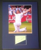 Cricket Andrew Freddie Flintoff 16x12 mounted signature piece includes signed album page and a