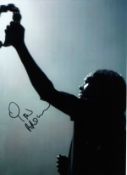 Ian Brown signed 16x12 silhouette photo. Good Condition. All autographs are genuine hand signed