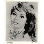 Sophia Loren Signed 10 x 8 inch b/w photo. Condition 8/10. All autographs are genuine hand signed