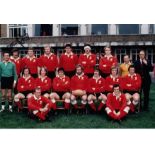 TOM DAVID rugby autographed 12 x 8 photo, a superb image depicting the Welsh team including David