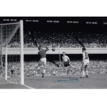 TERRY DYSON football autographed 12 x 8 photo, a superb image depicting Dyson brilliantly heading