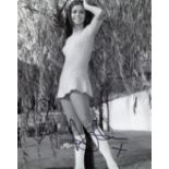 Ayshea Brough. 8x10 photo signed by 1960's pop star and actress Ayshea Brough. Good Condition. All