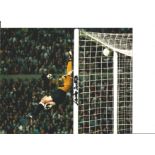 Football Neville Southall 10x8 Signed Colour Photo Pictured Playing For Everton In The FA Cup Final.