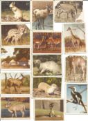 Cigarette card collection. Includes Brooke Bond collections, John player, Churchman, Whitbread and