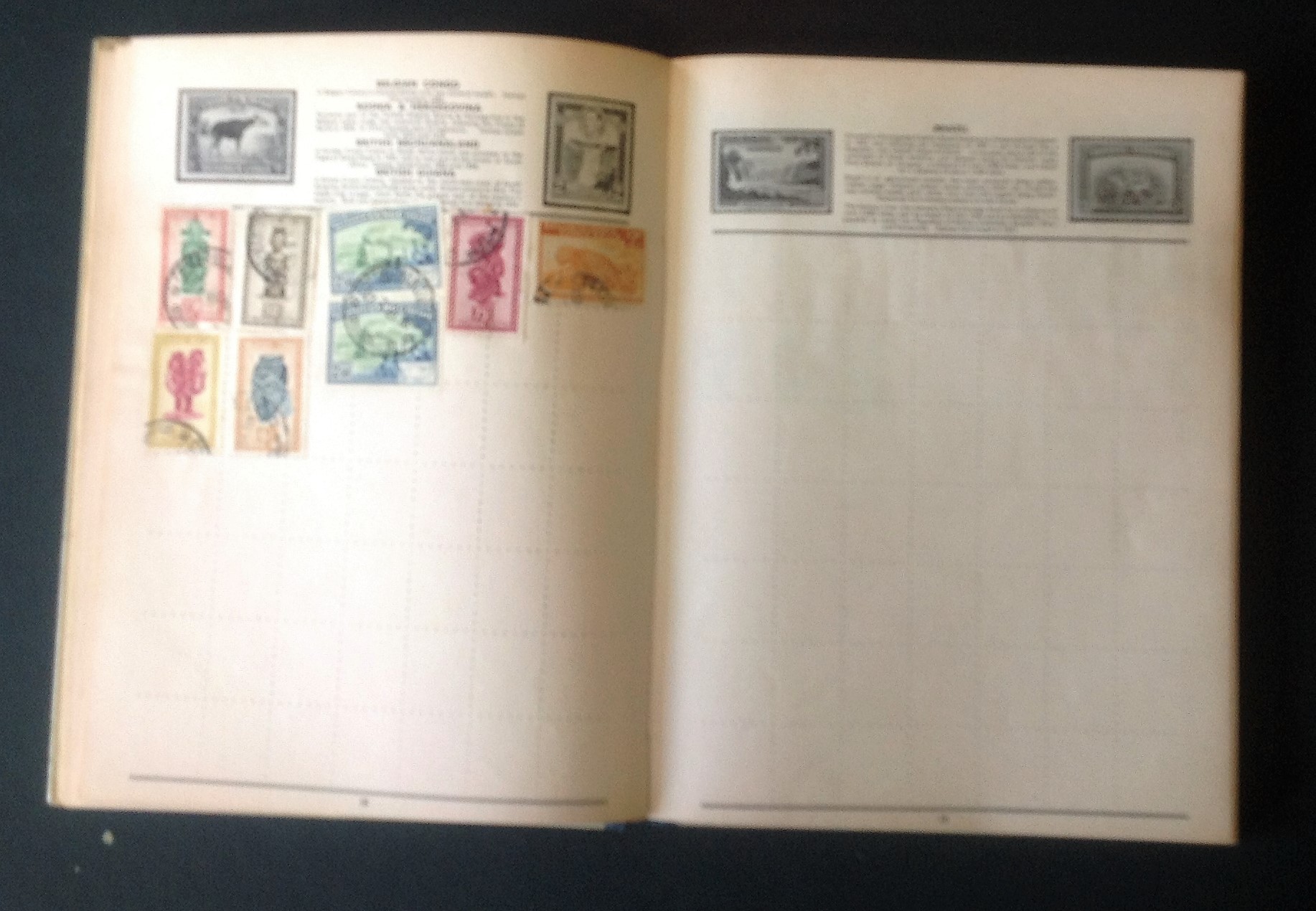 The Champion stamp album containing world stamps. Good condition. We combine postage on multiple - Image 2 of 5