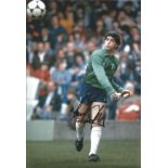 Football Tony Parks signed 12x8 colour photo pictured playing for Tottenham Hotspur. Good Condition.