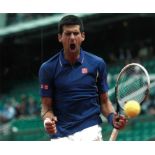 Tennis Novak Djokovic signed 12x10 colour photo. Novak Djokovic ( born 22 May 1987) is a Serbian