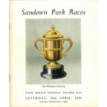 Horse Racing vintage programme 1965 Whitbread Gold Cup Sandown the year the great Arkle won the