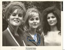 Carol Lynley signed 10x8 black and white photo of lobby card from the 1964 film The Pleasure
