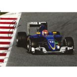 Felipe Nasr Sauber F1 Driver signed 12x8 Photo. Good Condition. All autographed items are genuine