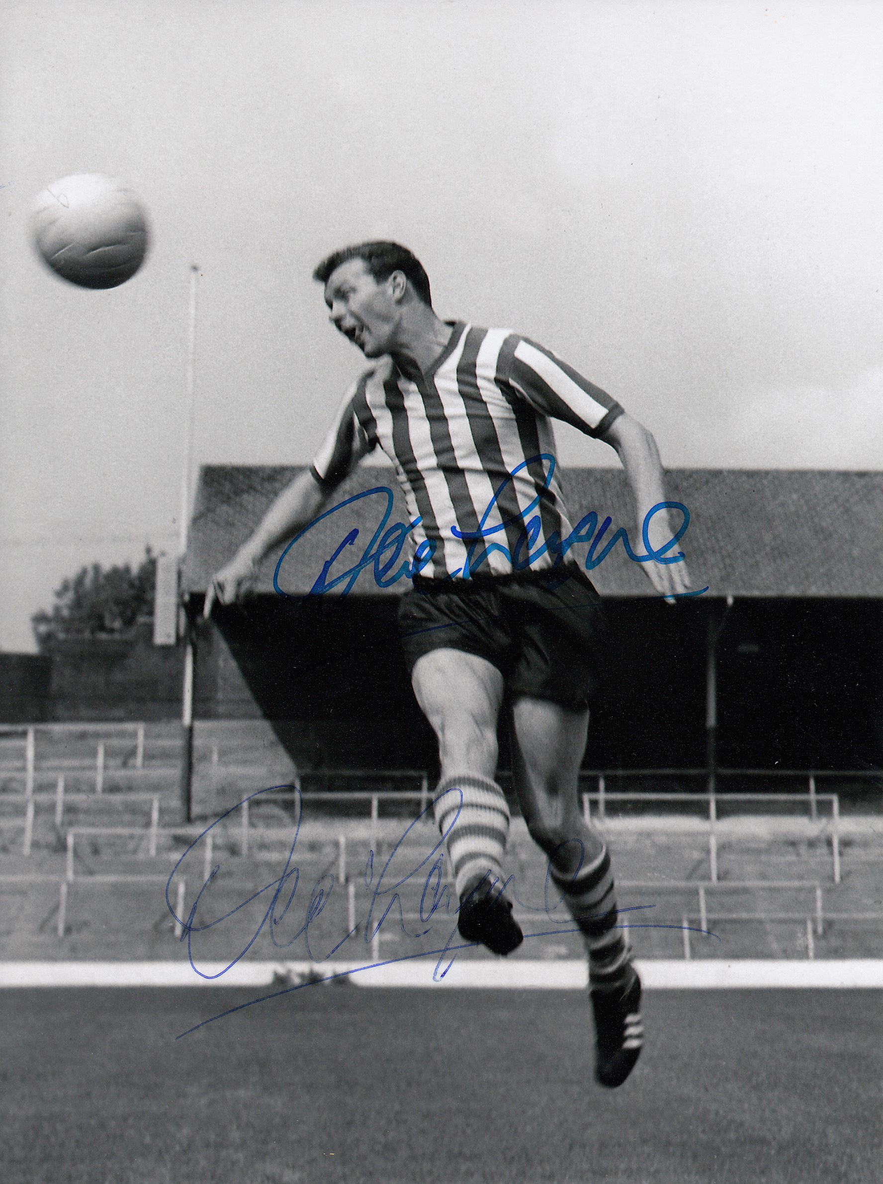 DAVID LAYNE 1963: Autographed 8 x 6 photo, depicting Sheffield Wednesday centre-forward DAVID