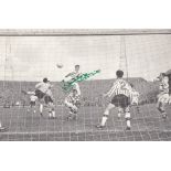 BILLY McNEILL 1965: Autographed cutting measuring 23 x 15 cms, depicting the Celtic captain