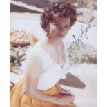 Sophia Loren signed 10 x 8 inch photo. Good Condition. All autographs are genuine hand signed and