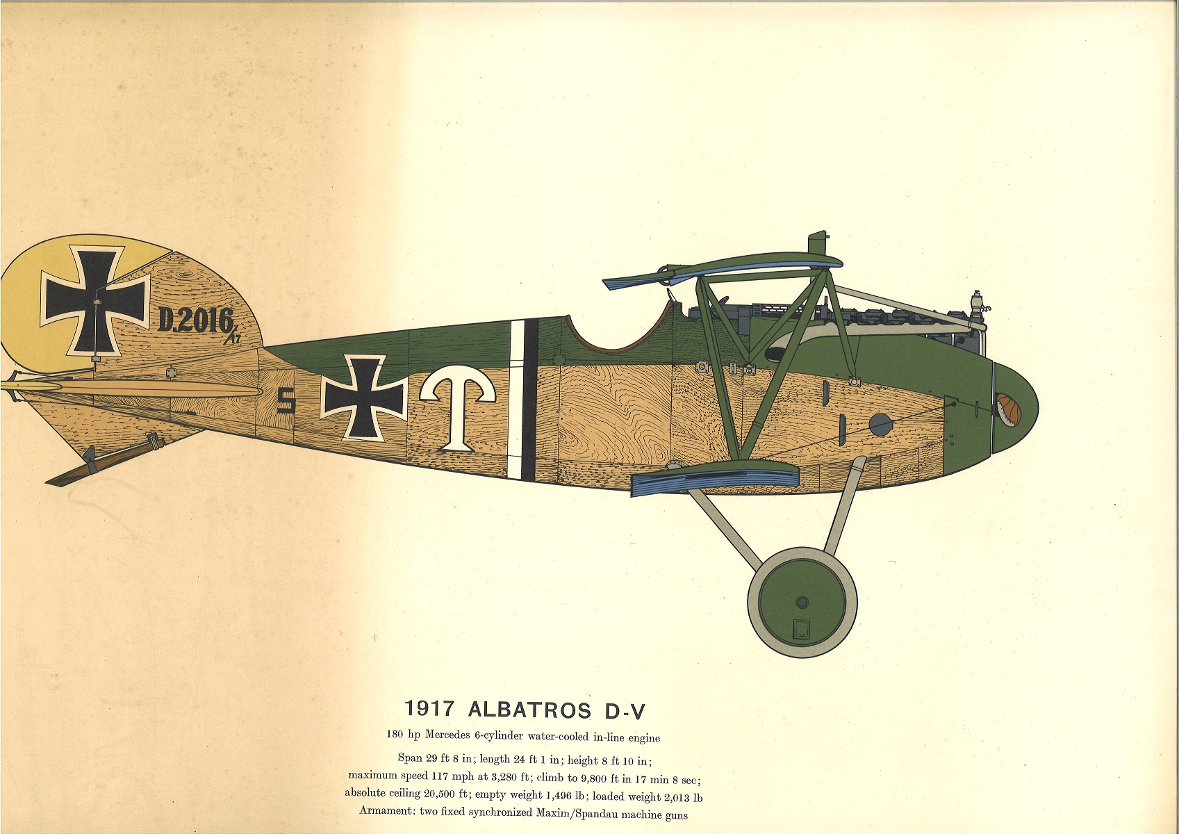 World War One print 14x18 colour print picturing 1917 Albatross D. V 180hp Mercedes 6 Cylinder water