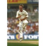 PHIL TUFNELL signed England Cricket 8x12 Photo. All autographs come with a Certificate of