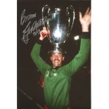 BRUCE GROBBELAAR football autographed 12 x 8 photo, a superb image depicting the Liverpool